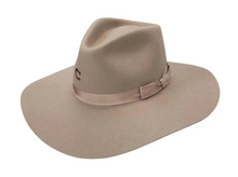 Load image into Gallery viewer, Charlie 1 Horse Highway