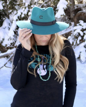 Load image into Gallery viewer, Charlie 1 Horse Highway