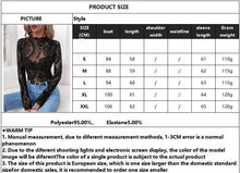 Load image into Gallery viewer, Paisley Velvet Print Mesh Top
