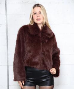 Farrah Chocolate Statement Jacket